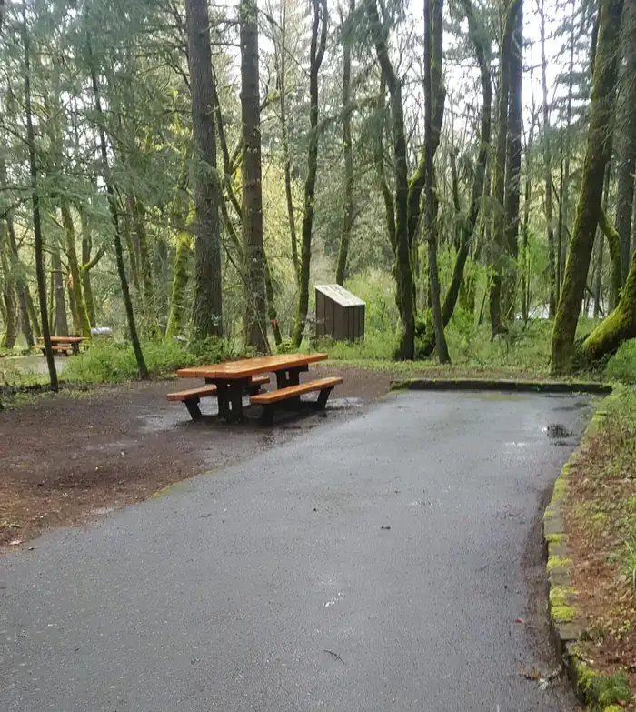 Camper-submitted photo at Wyeth Campground at the Gorge near Carson, WA