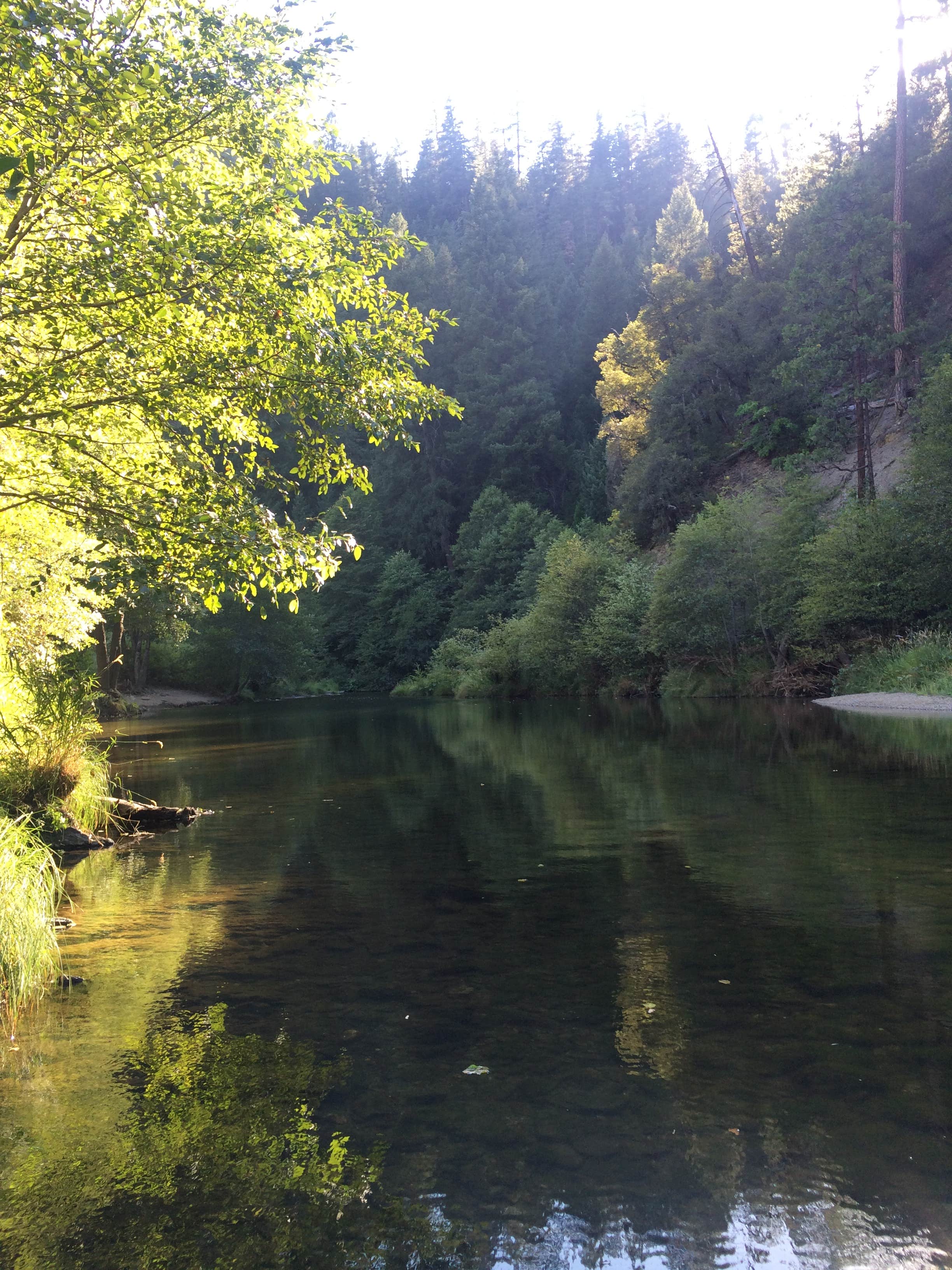 Camper submitted image from Spanish Creek Campground - 4