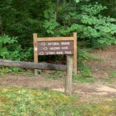 Review photo of Pickett CCC Memorial State Park Campground by Nate H., August 9, 2019