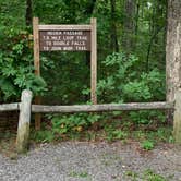 Review photo of Pickett CCC Memorial State Park Campground by Nate H., August 9, 2019