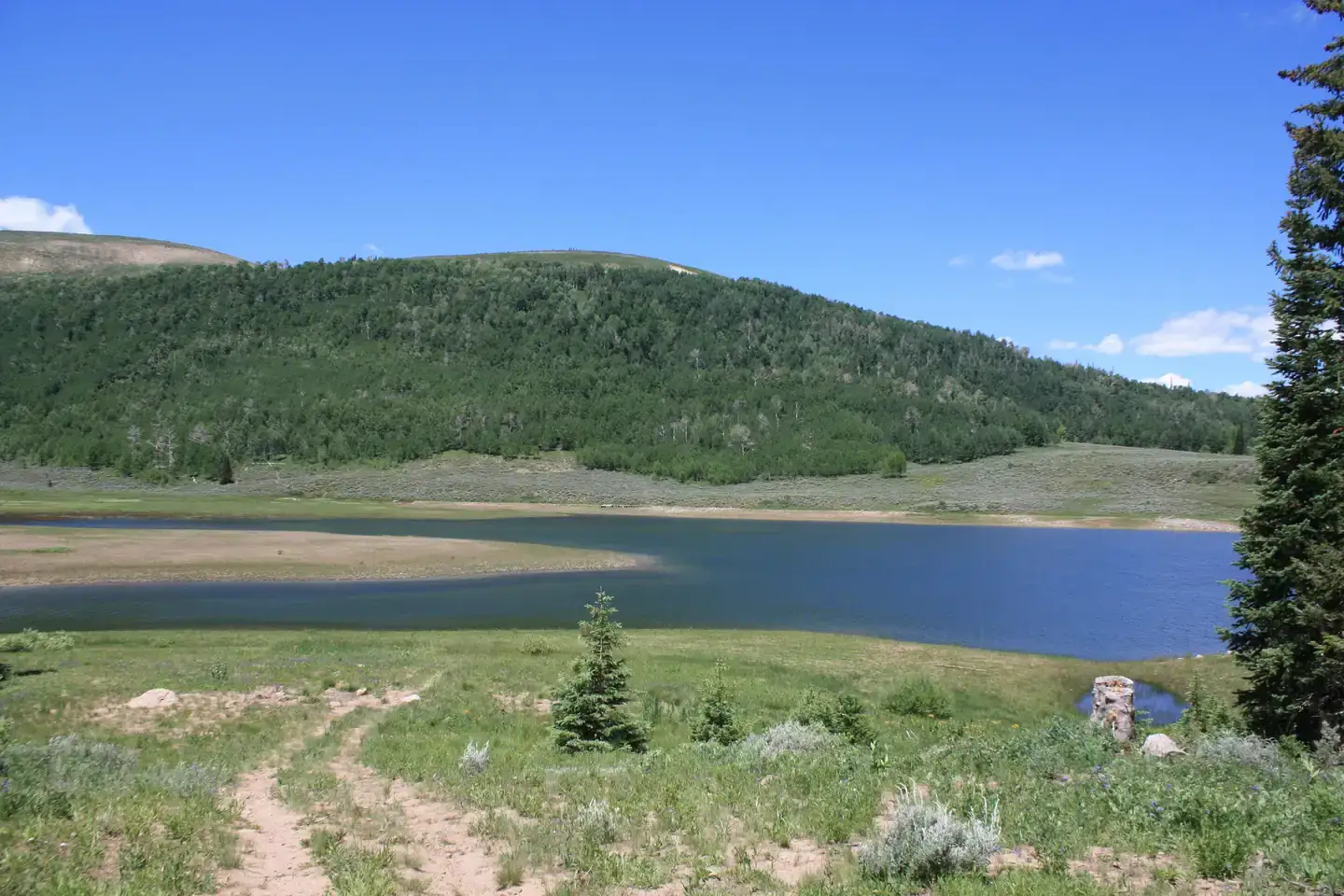 Camper-submitted photo at Lake Canyon Recreation Area near Fairview, UT