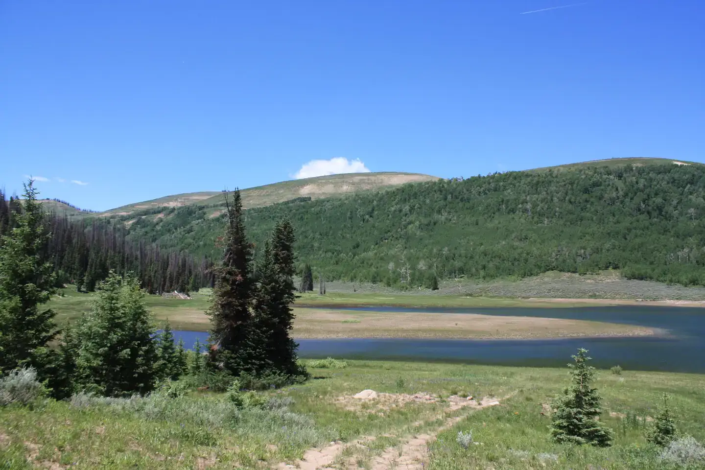 Camper-submitted photo at Lake Canyon Recreation Area near Fairview, UT