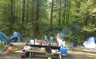 Michelle K.'s photo at Rasar State Park Campground near Hamilton, WA