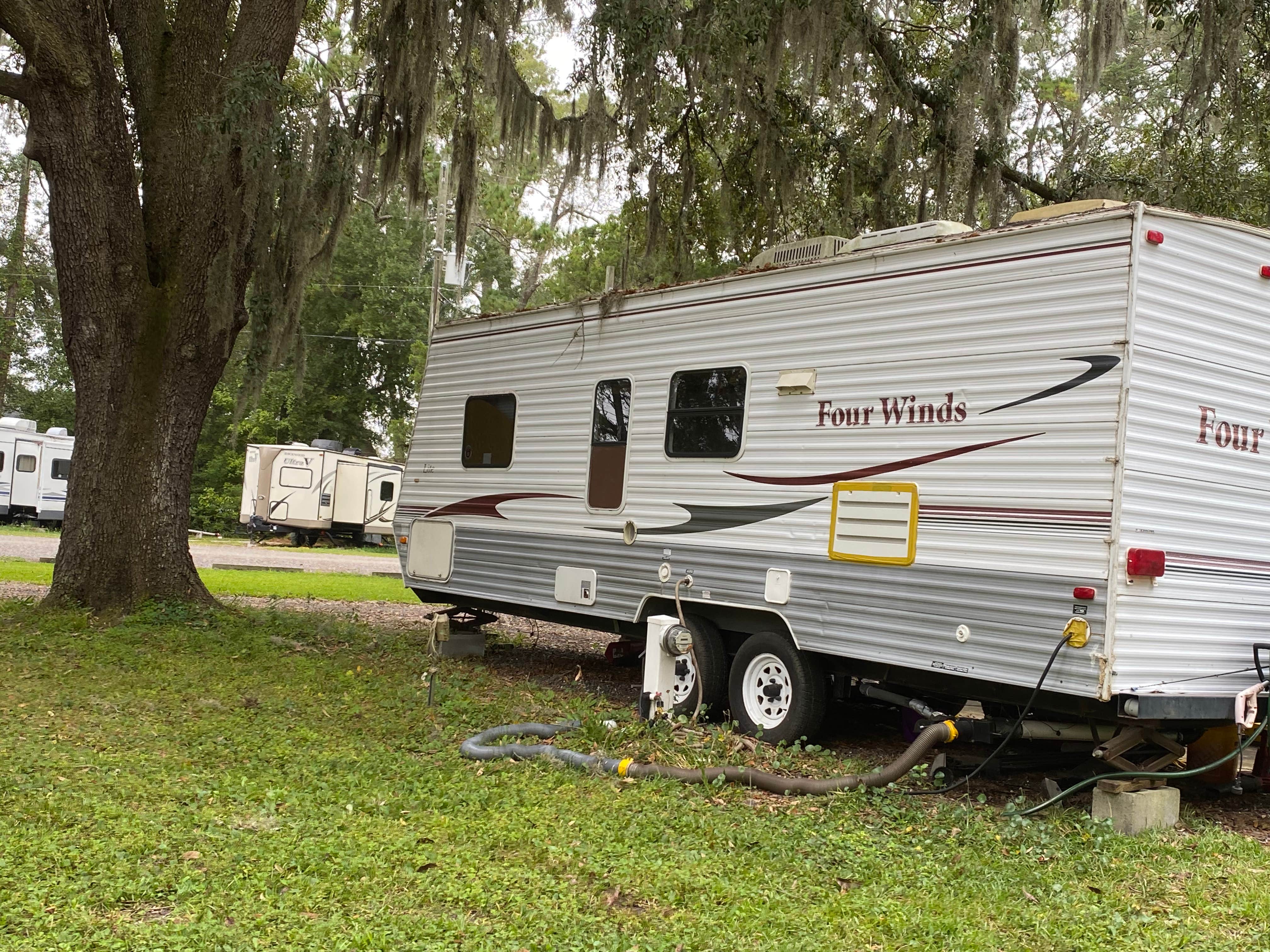 Camper-submitted photo at Big Tree RV Park near Ponte Vedra Beach, FL
