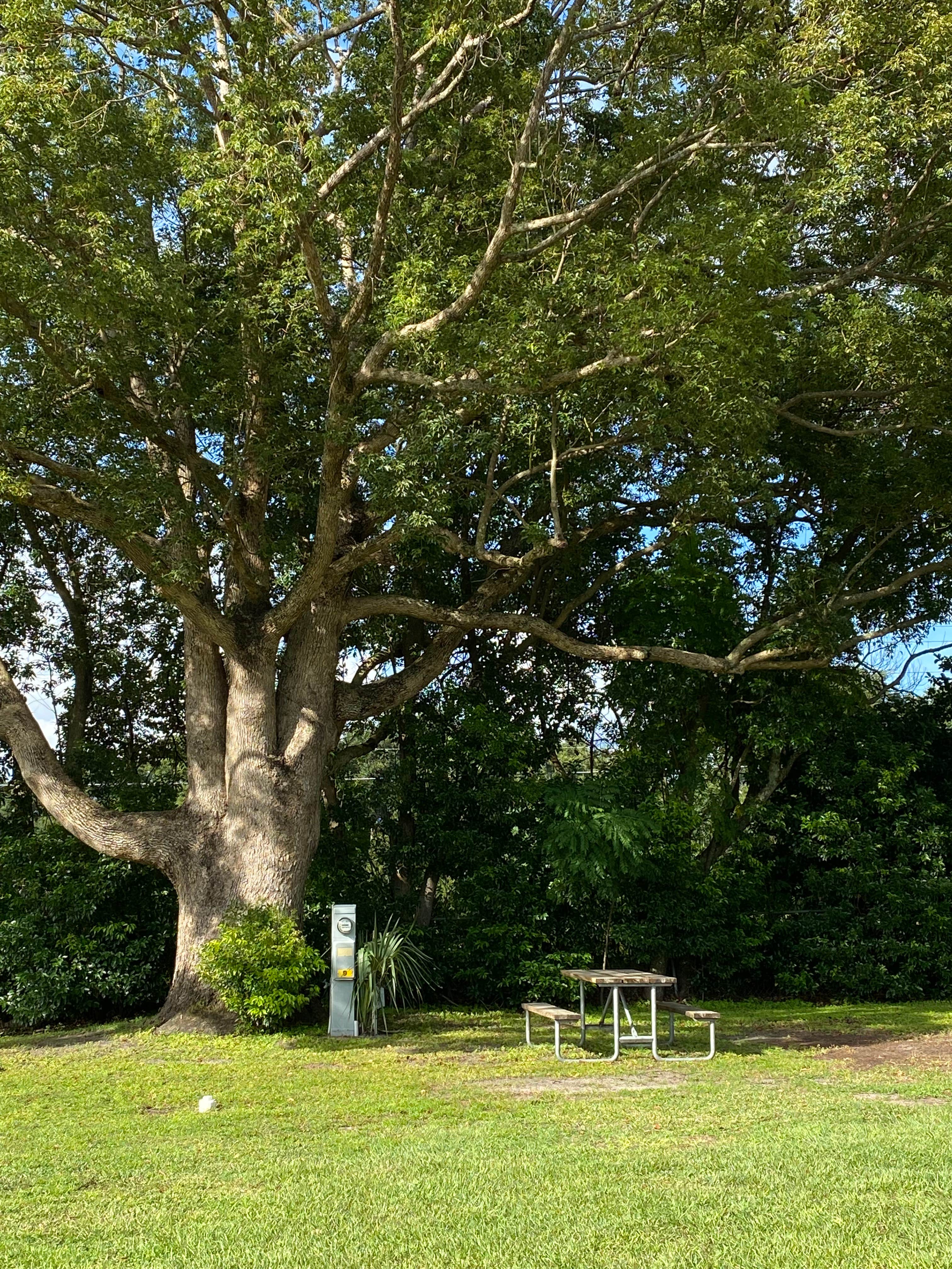 Camper-submitted photo at KOA Orange Blossom near Longwood, FL