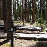 Review photo of 4R2 Yellowstone National Park Backcountry — Yellowstone National Park by Dexter I., August 9, 2019