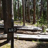 Review photo of 4R2 Back country campsite by Dexter I., August 9, 2019