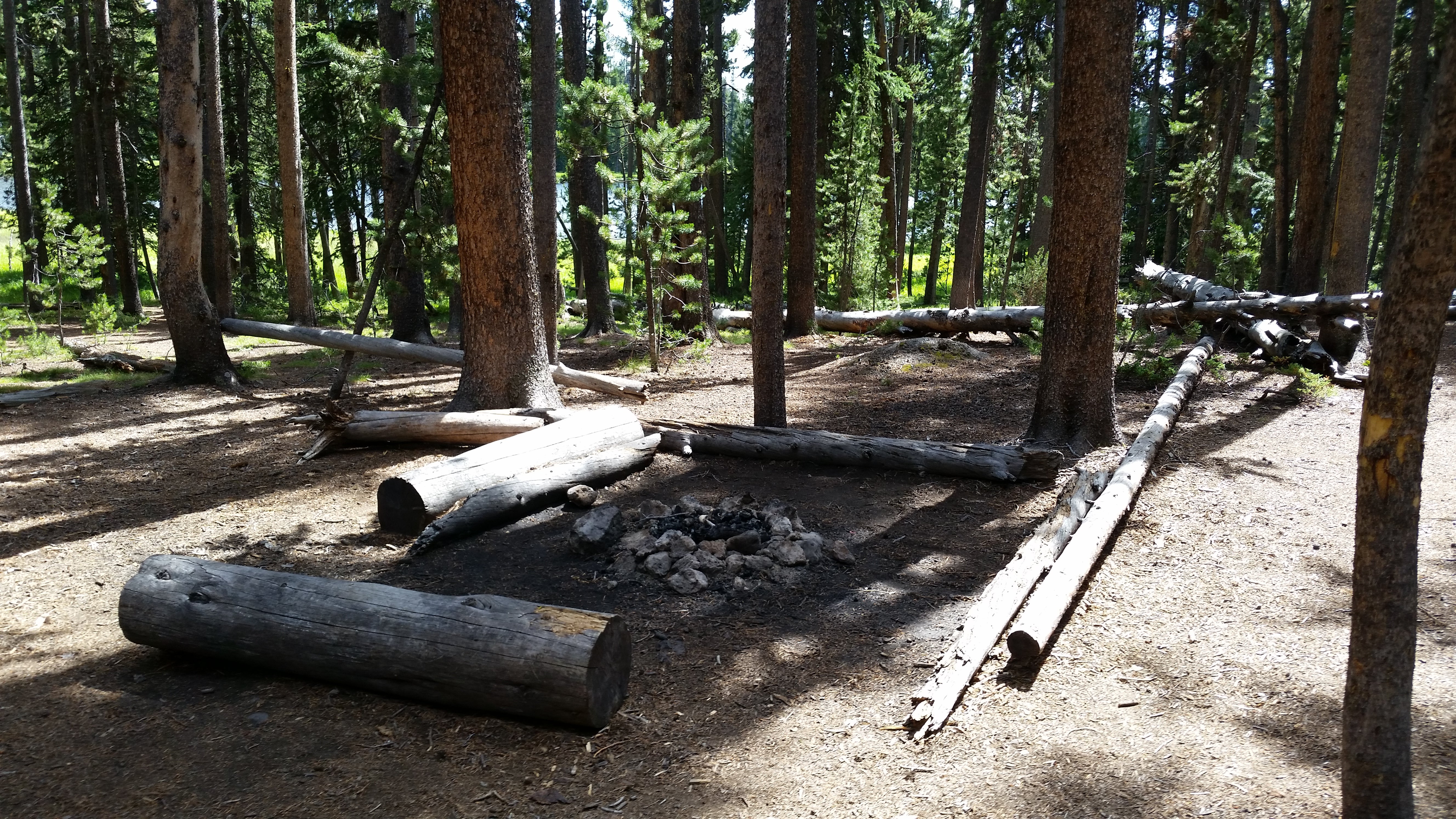 Camper submitted image from 4R2 Yellowstone National Park Backcountry — Yellowstone National Park - 1