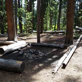 Review photo of 4R2 Back country campsite by Dexter I., August 9, 2019