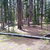 Review photo of 4R2 Back country campsite by Dexter I., August 9, 2019