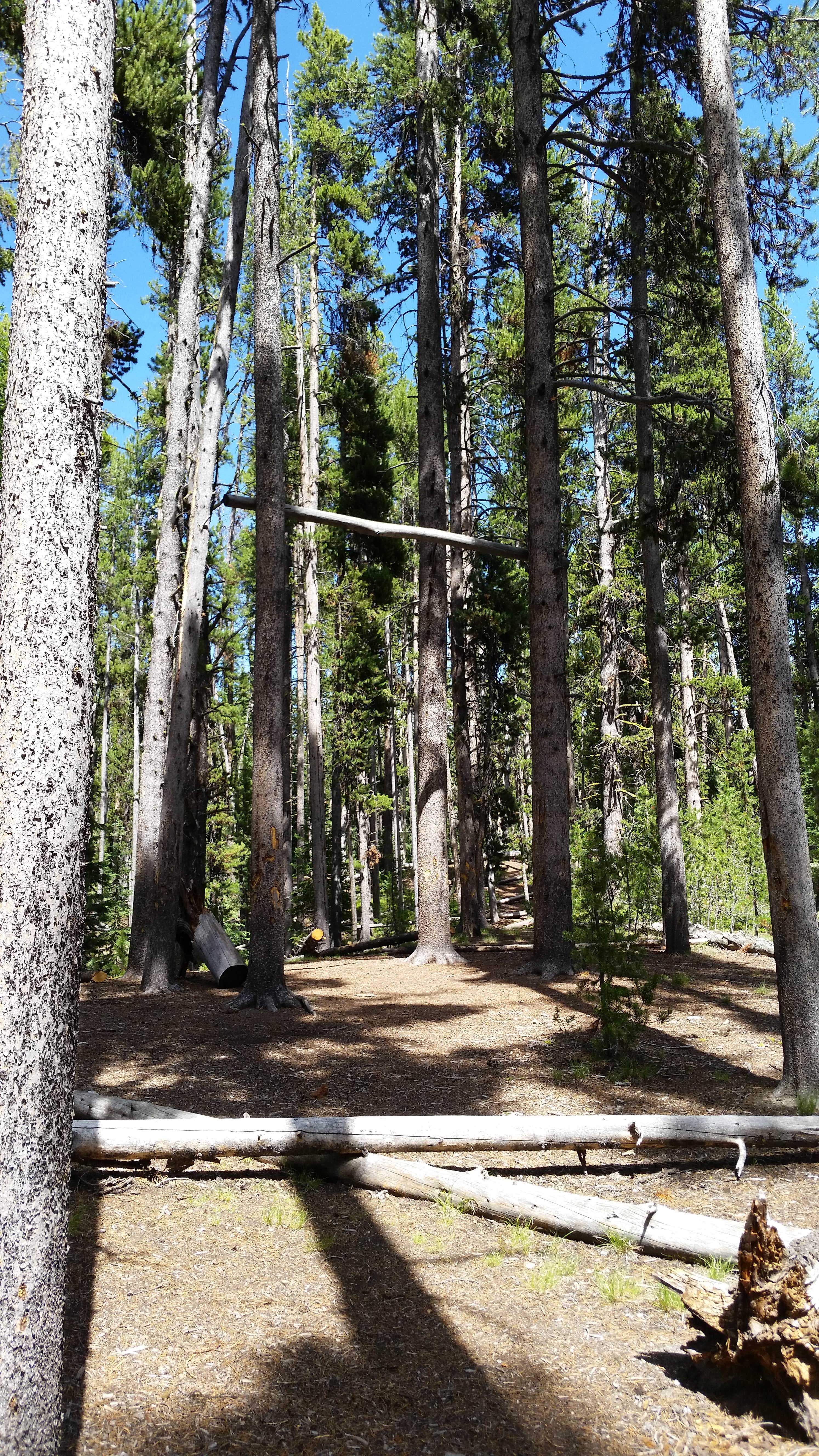 Camper-submitted photo at 4R2 Yellowstone National Park Backcountry — Yellowstone National Park near Yellowstone National Park