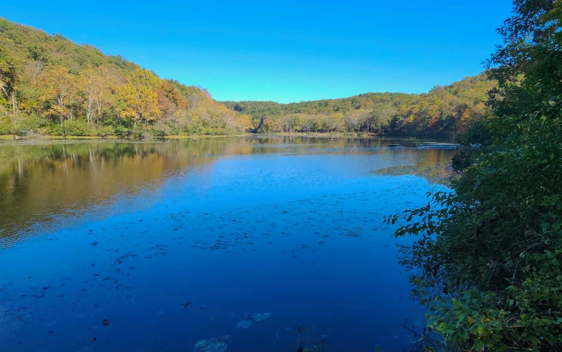 Camper submitted image from Noblett Lake - 4