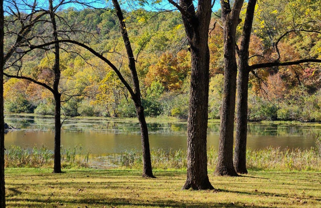 Camper-submitted photo at Noblett Lake near Pomona, MO