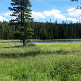 Review photo of 4R2 Back country campsite by Dexter I., August 9, 2019