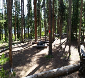 Camper-submitted photo from 4R2 Yellowstone National Park Backcountry — Yellowstone National Park
