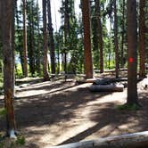 Review photo of 4R2 Back country campsite by Dexter I., August 9, 2019