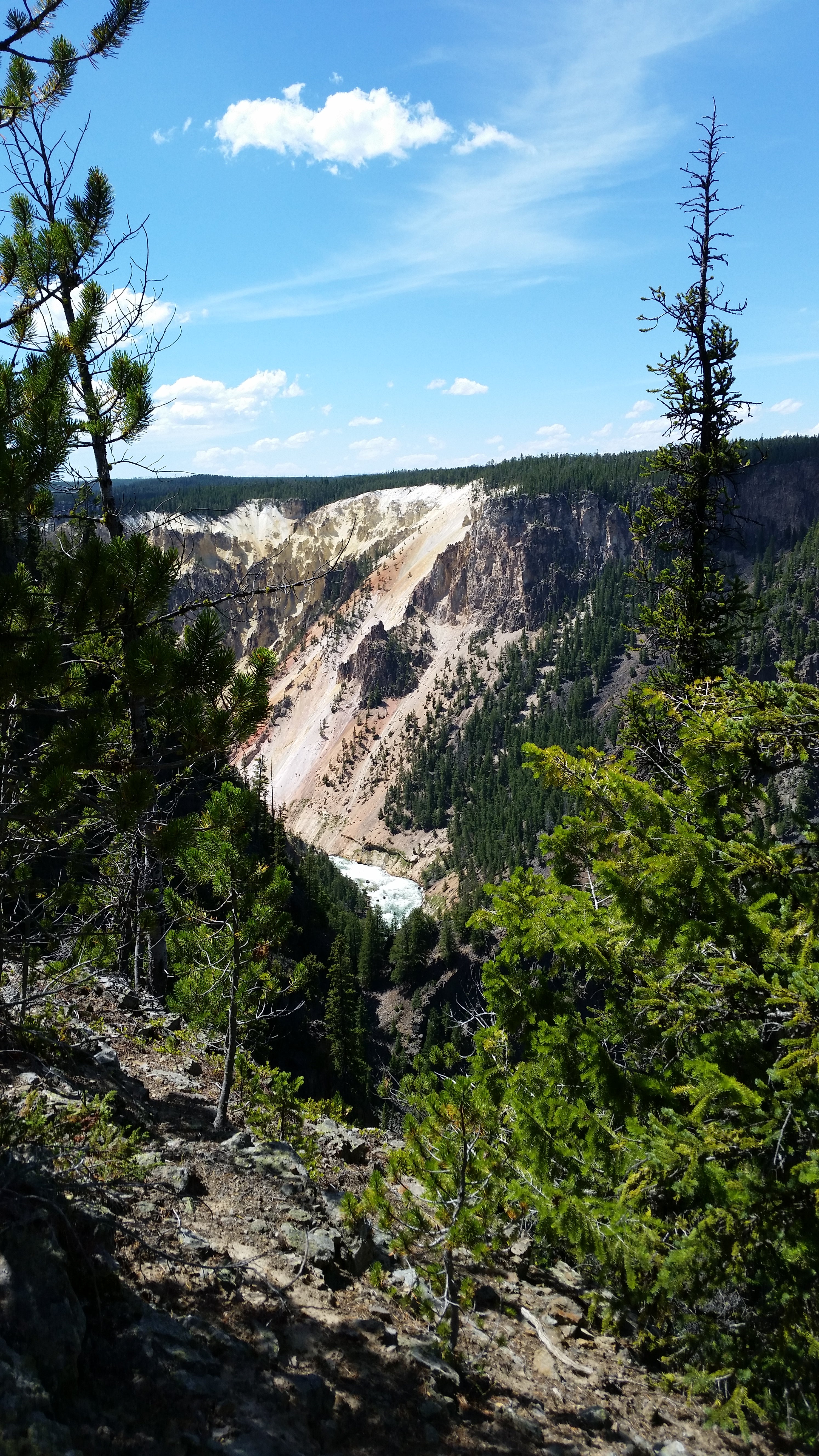 View of Grand Canyon of the Yellowstone just before campsite 4R2