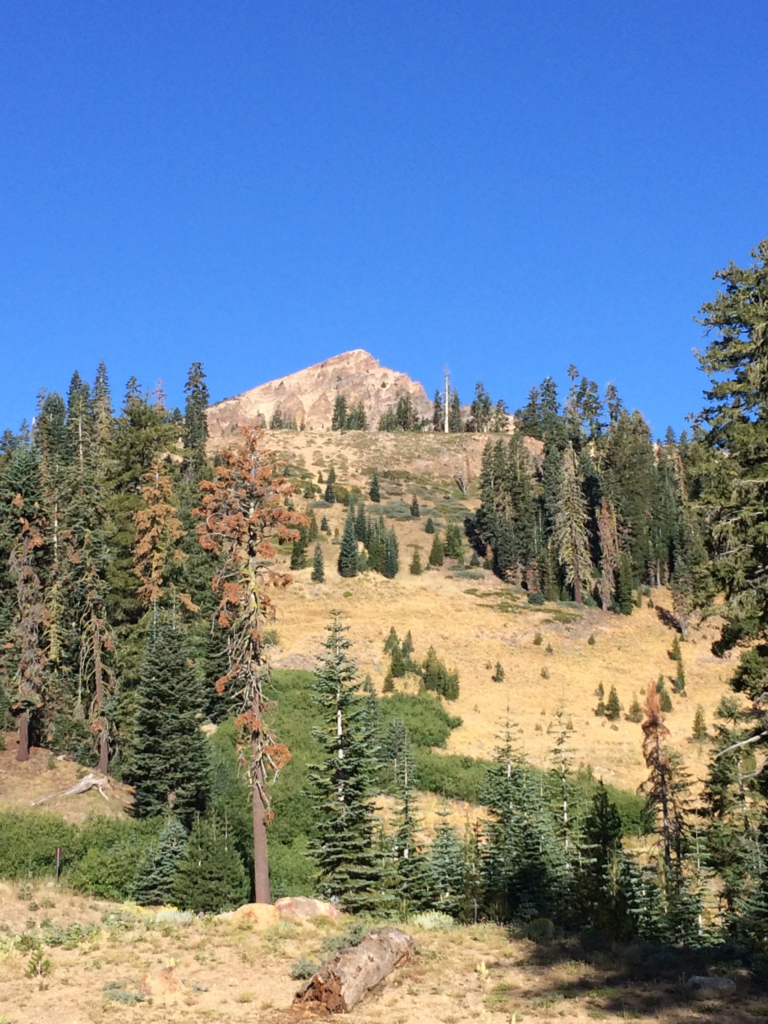 Camper submitted image from Southwest Walk-in Campground — Lassen Volcanic National Park - 2