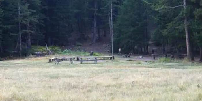 Camper submitted image from Loristica Group Campground