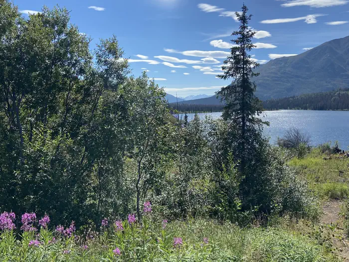 Camper-submitted photo at Romig Cabin near Moose Pass, AK