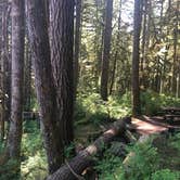 Review photo of Boulder Creek Campground by Tom K., August 9, 2019