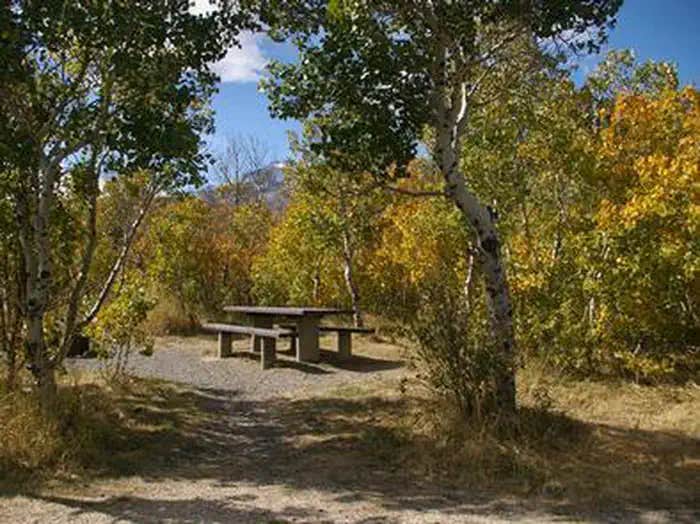 Camper submitted image from Humboldt National Forest Angel Creek Campground - 1