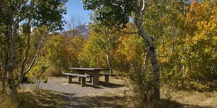 Camper submitted image from Humboldt National Forest Angel Creek Campground