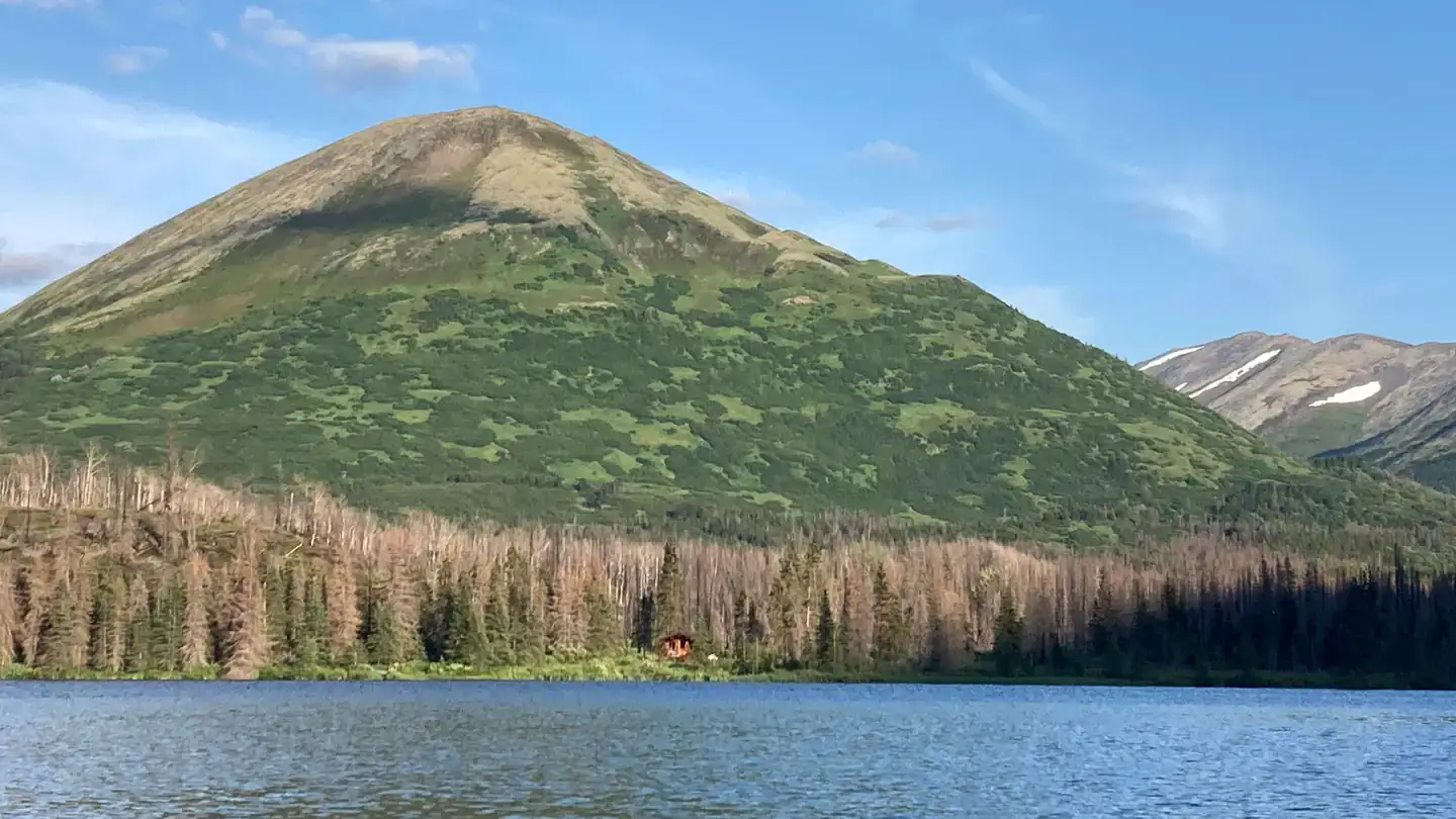 Camper-submitted photo at Romig Cabin near Moose Pass, AK