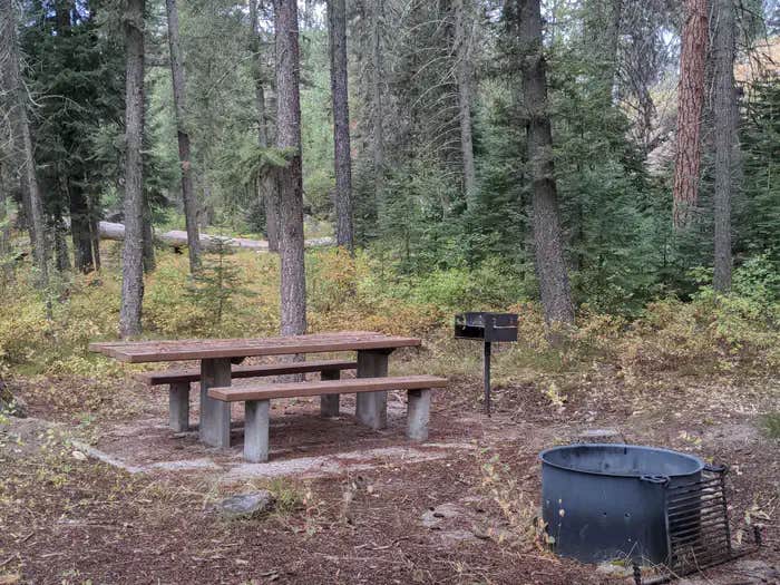 Camper submitted image from Ponderosa Campground - 1