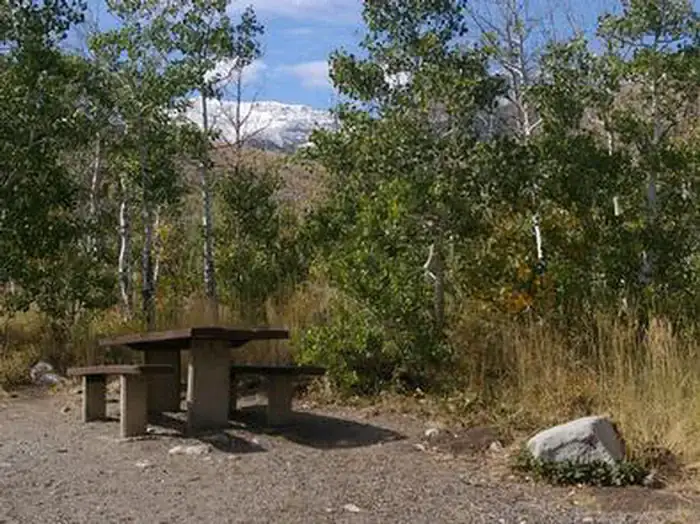 Camper-submitted photo at Humboldt National Forest Angel Creek Campground near Wells, NV