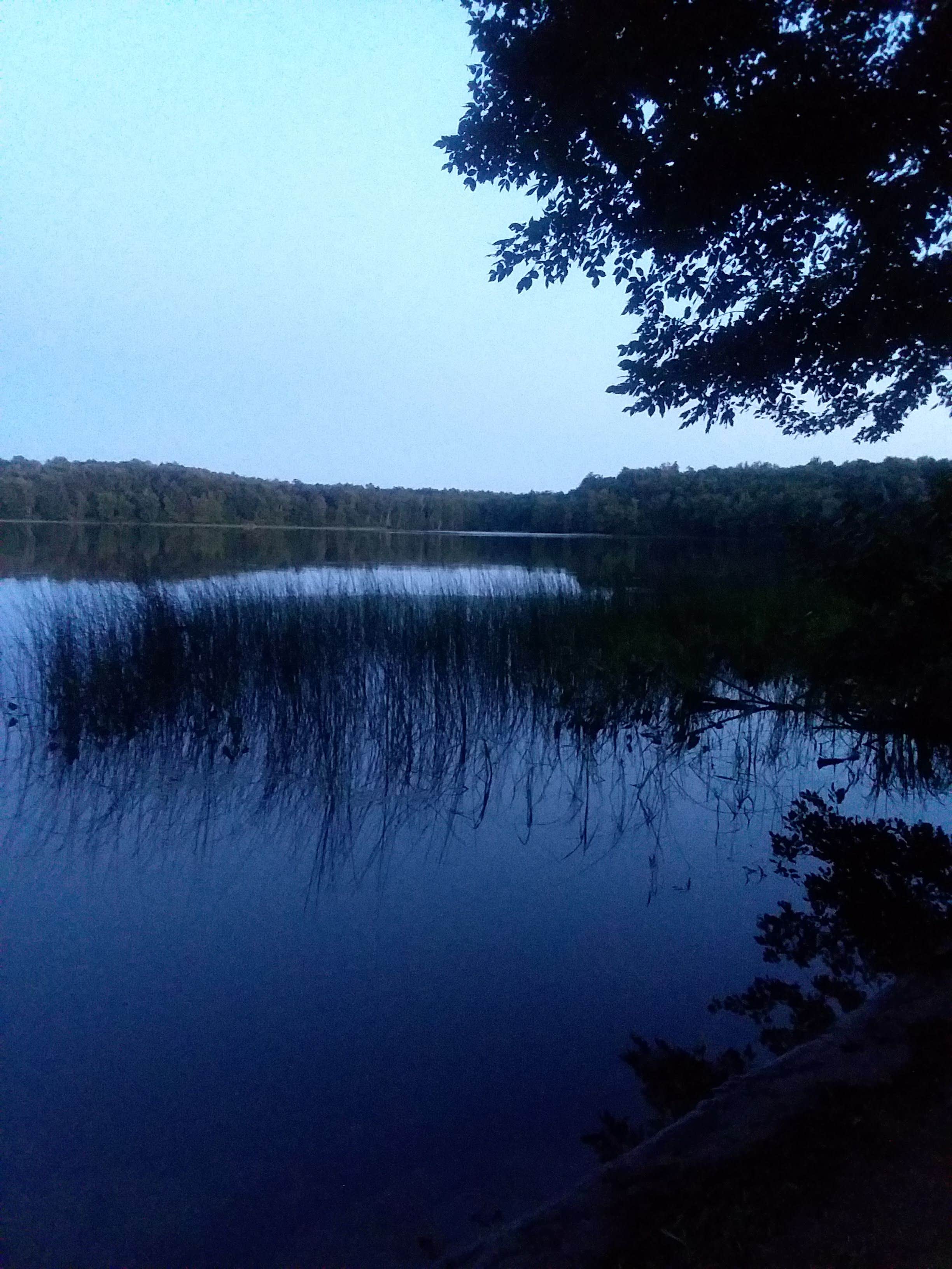 Camper submitted image from Lake of the Pines Campground — Flambeau River State Forest - 5