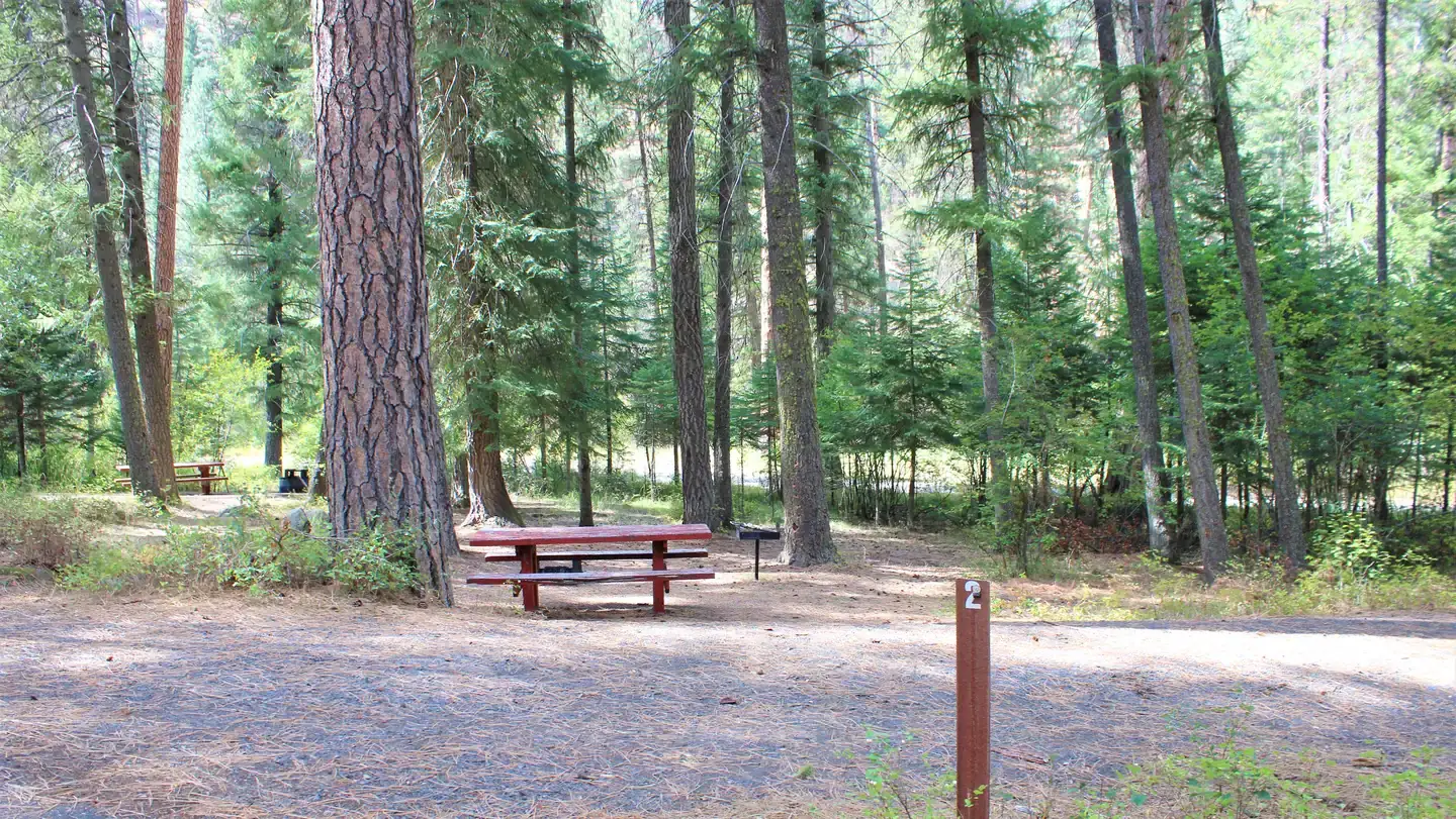 Camping near Deadman Campground: Buckhorn Bar Campground, Yellow Pine, Idaho