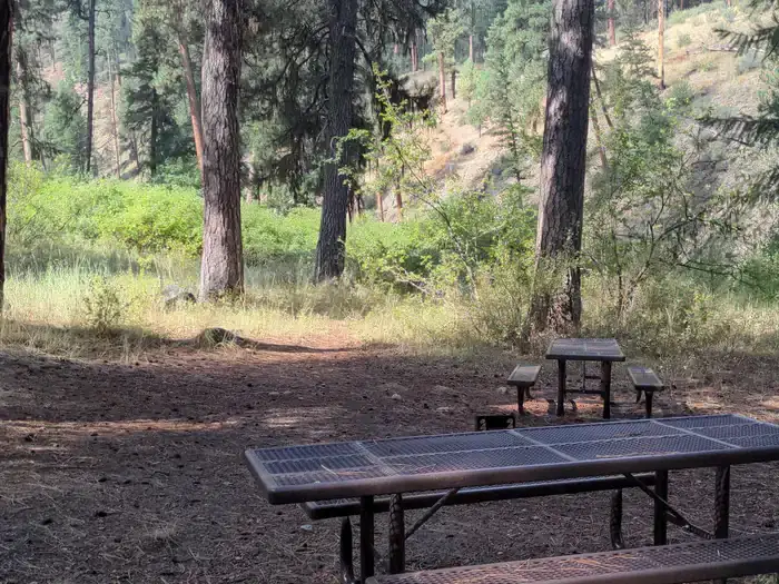 Camper-submitted photo at Buckhorn Bar Campground near Payette National Forest