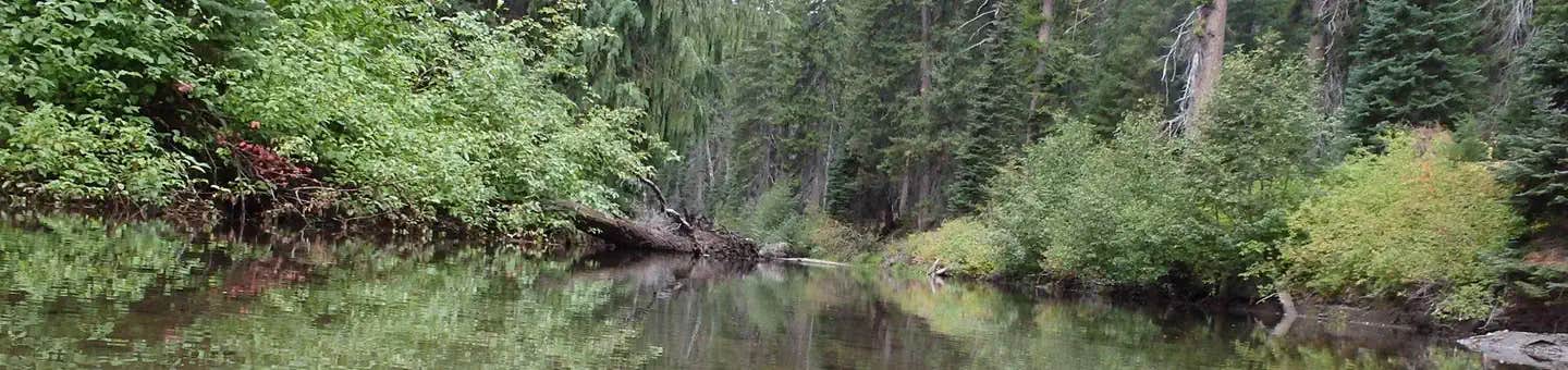 Camper submitted image from Pleasant Valley Campground - 1