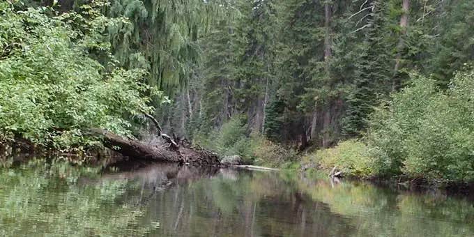 Camper submitted image from Pleasant Valley Campground