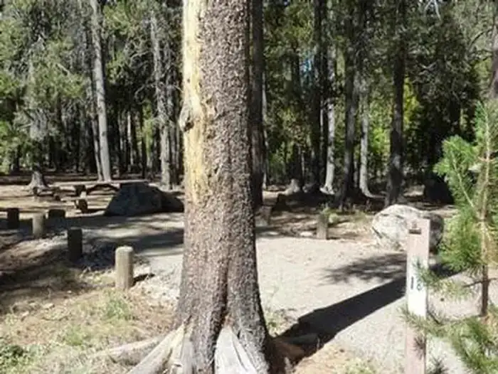 Camping near Ward Lake Campground: Jackass Meadow, Mono Hot Springs, California