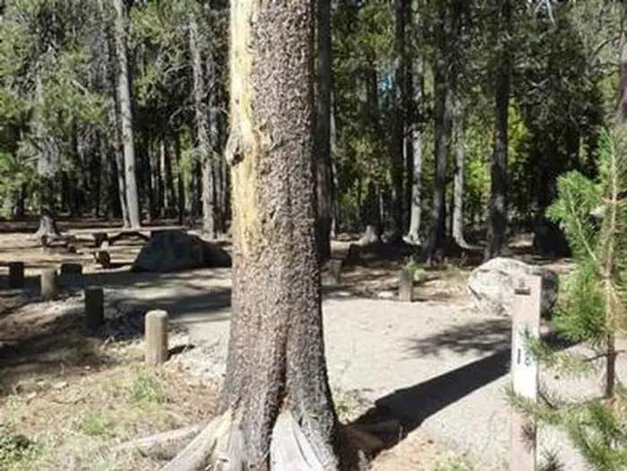 Camper submitted image from Jackass Meadow - 1