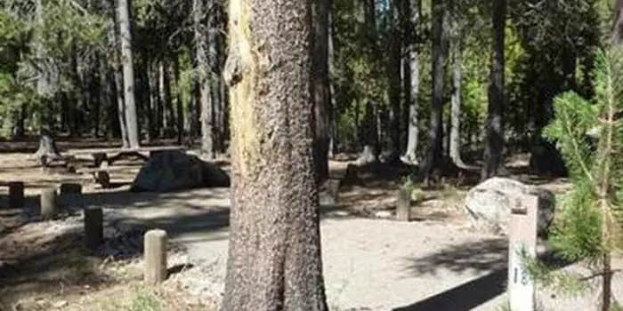 Camper submitted image from Jackass Meadow