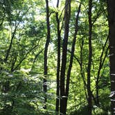 Review photo of Oak Bluff — Ponca State Park by Joe R., August 9, 2019