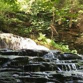 Review photo of Ricketts Glen State Park Campground by Karen  S., August 9, 2019