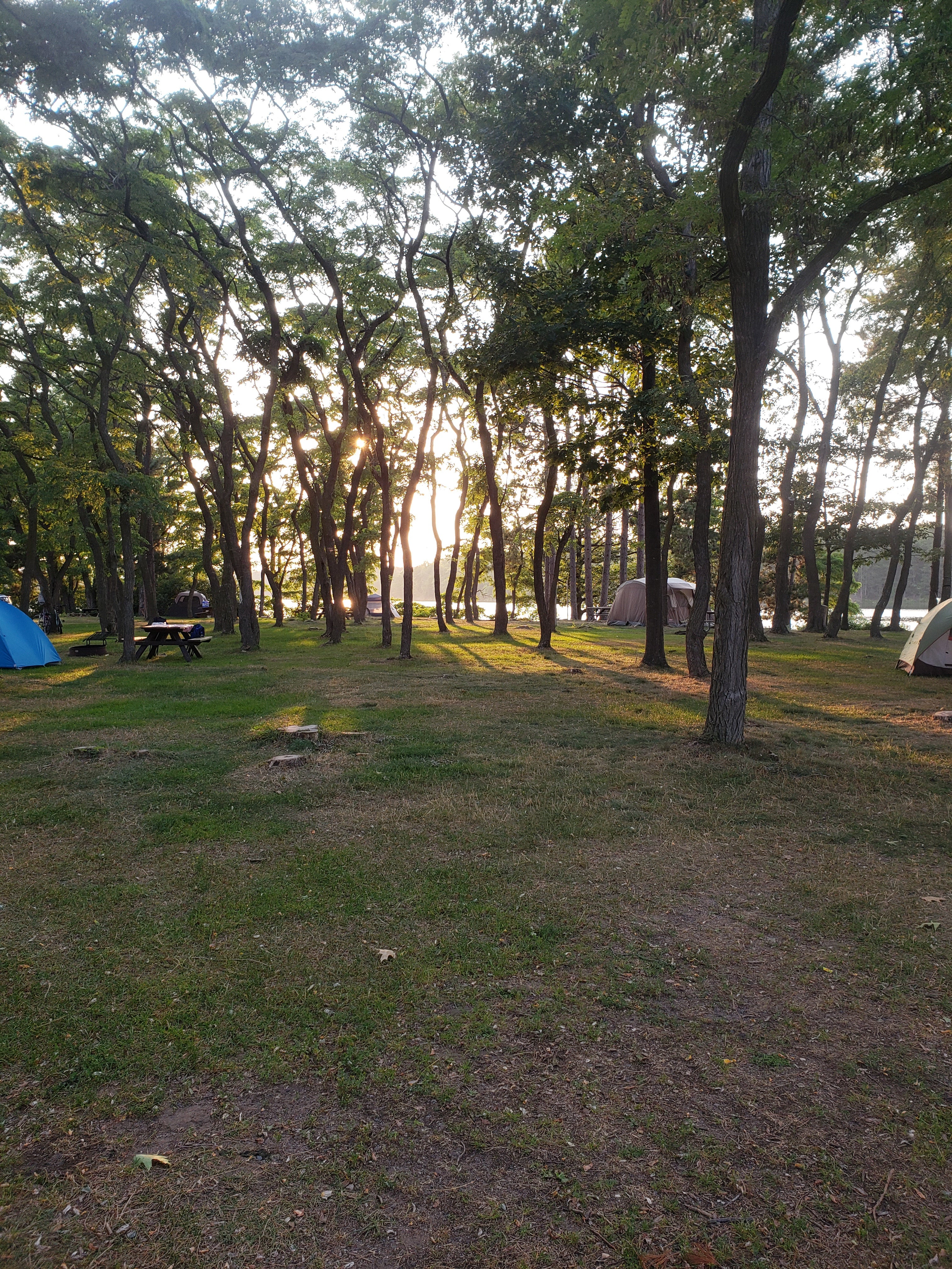 This was our first night there and we were taking a walk around the grounds. The lake is just beyond the trees here. And to the right, there is a designated swim area and boat launch.