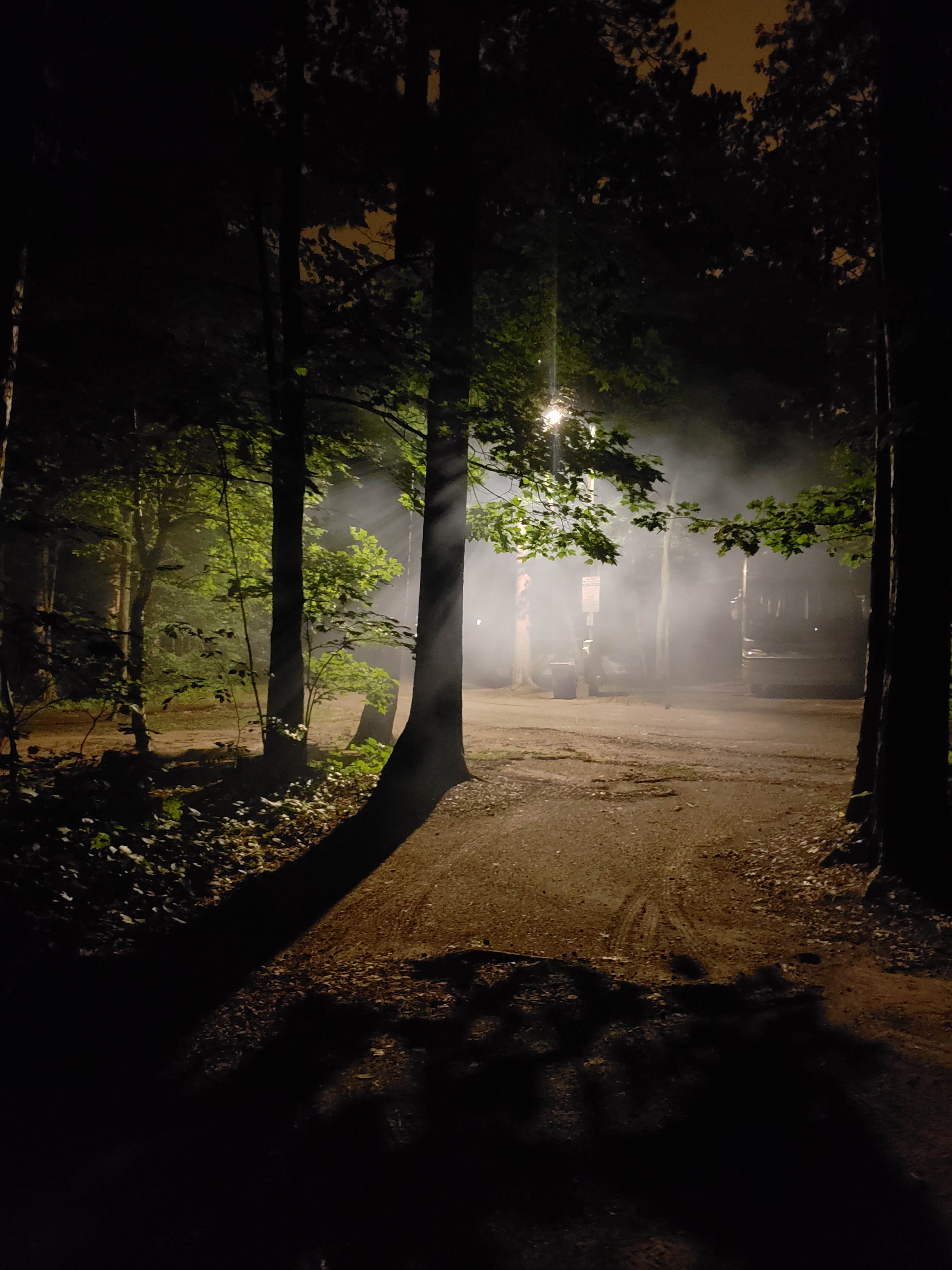 This picture was at night when I believe everyone's campfire smoke was drifting through. You can see theres a trash can under the light as well as doggy bags. Makes it a little easier than driving to the office to get rid of trash.