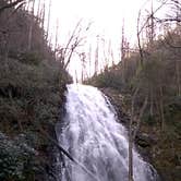 Review photo of Crabtree Falls Campground — Blue Ridge Parkway by Tony E., August 9, 2019