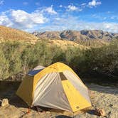 Review photo of Agua Caliente County Park Campground by Kate W., August 9, 2019