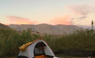 Kate W.'s photo at Agua Caliente County Park Campground near Ocotillo Wells, CA