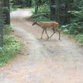 Review photo of Meadowbrook Campground by Martin  S., August 9, 2019