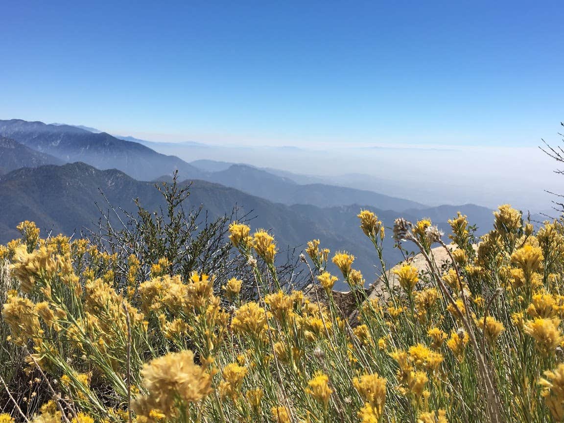 Camper-submitted photo at Keller Peak Yellow Post Campsites near Running Springs, CA