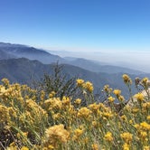 Review photo of Keller Peak Yellow Post Campsites by Kate W., August 9, 2019