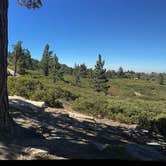 Review photo of Keller Peak Yellow Post Campsites by Kate W., August 9, 2019