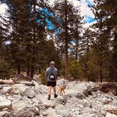 Review photo of San Gorgonio Campground by Kate W., August 9, 2019